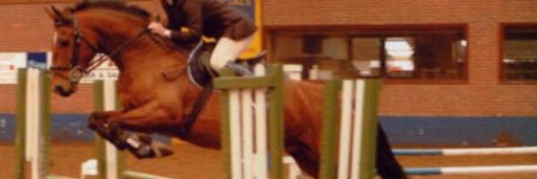 vickywharfe Profile Banner