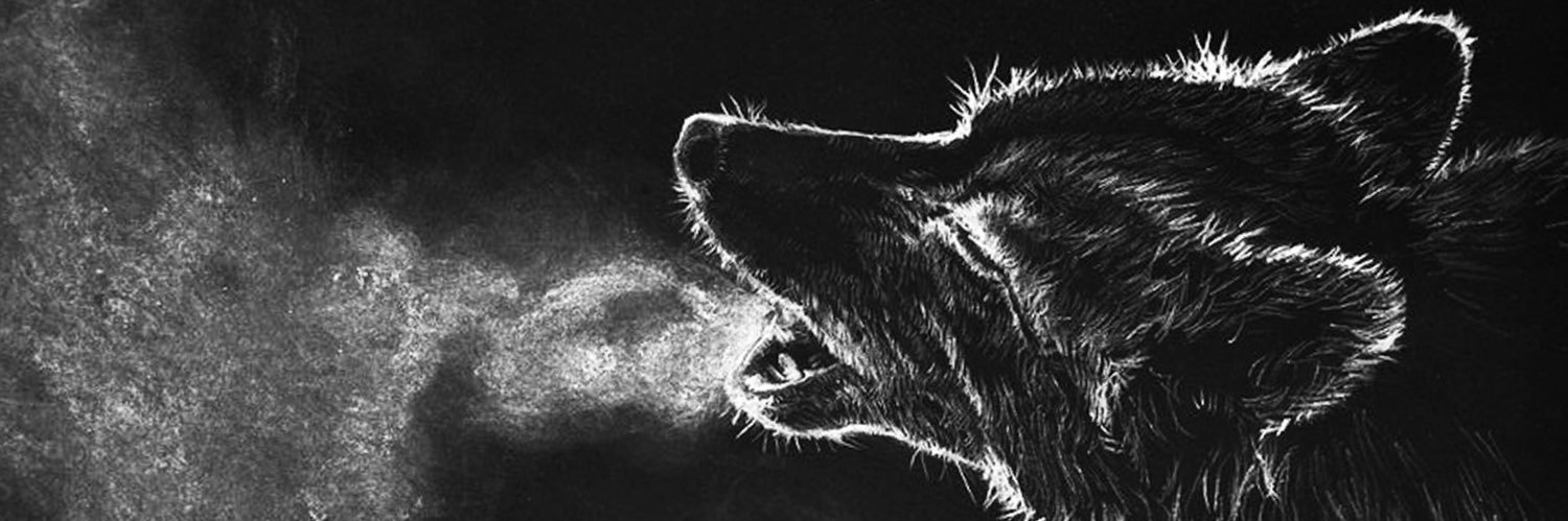 IggorNeves's profile banner image
