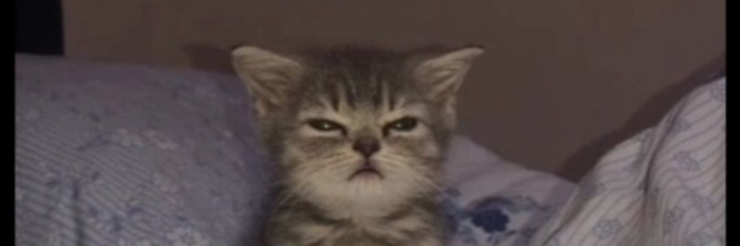 Sean_uzu's profile banner image