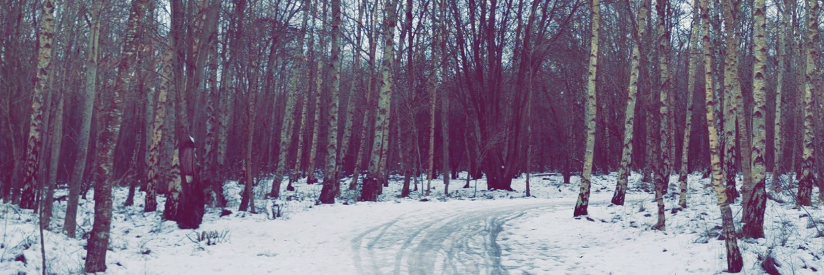 Dunham86's profile banner image