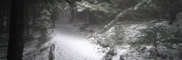 lumixvlr Profile Banner