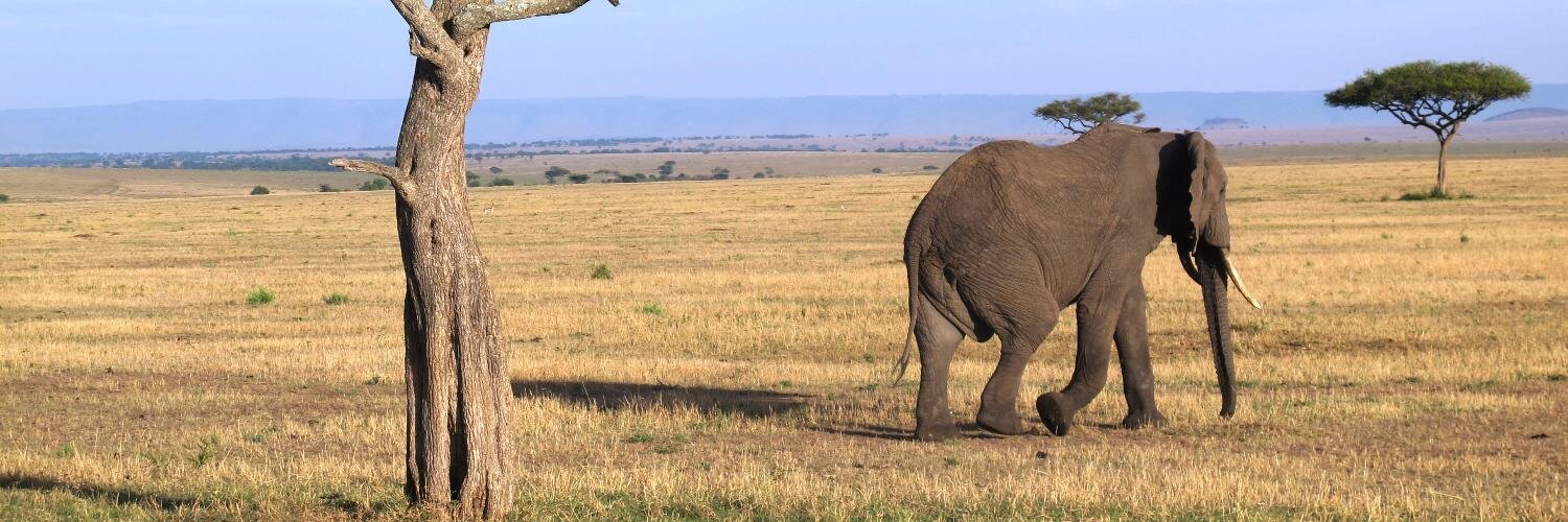 NatHighTravel's profile banner image