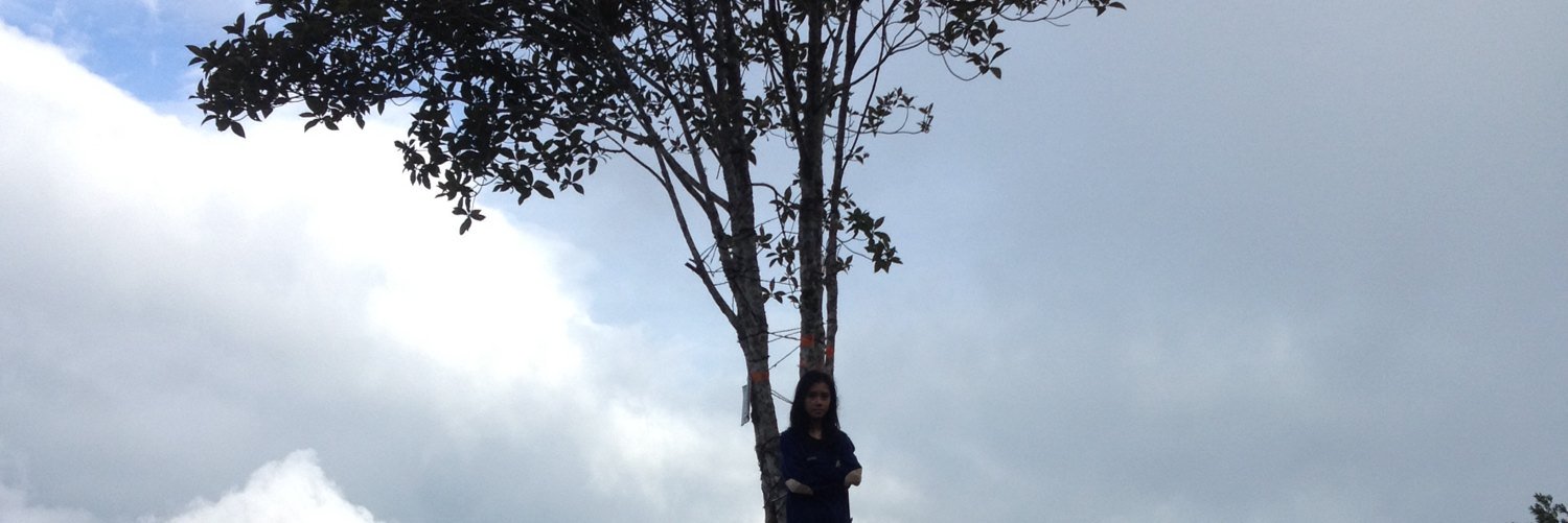 haanyfaa's profile banner image