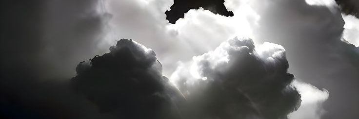 Momoledza's profile banner image