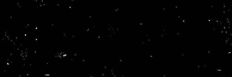 CardettiV's profile banner image