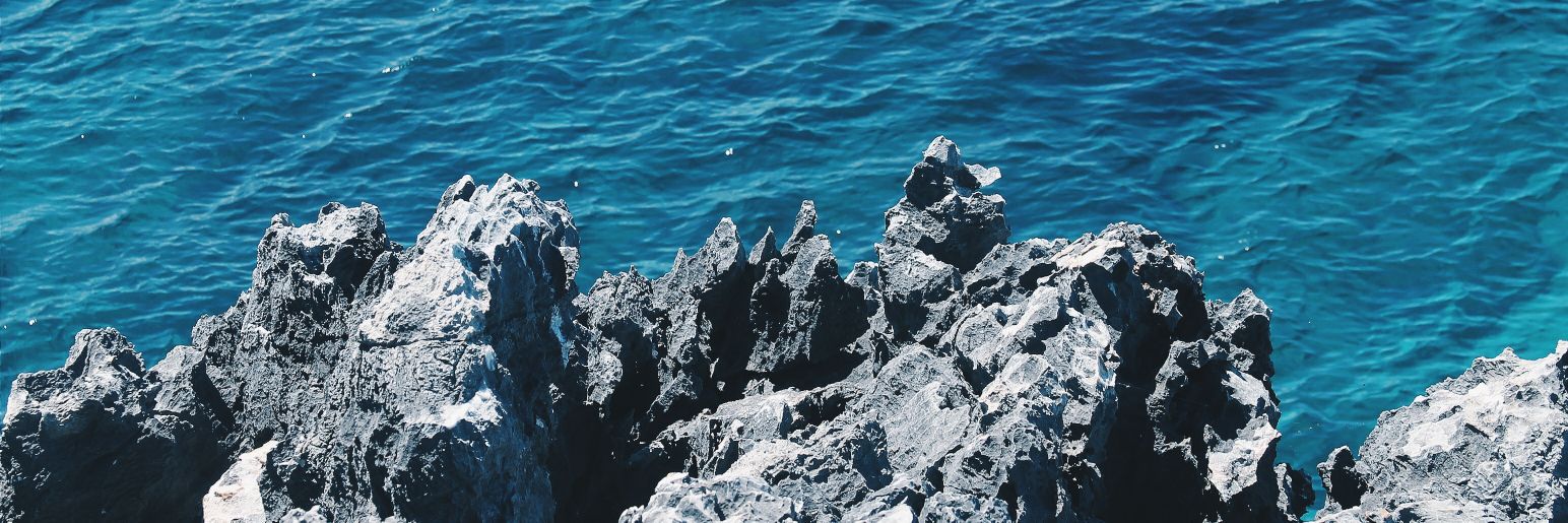 ed_hedonia's profile banner image