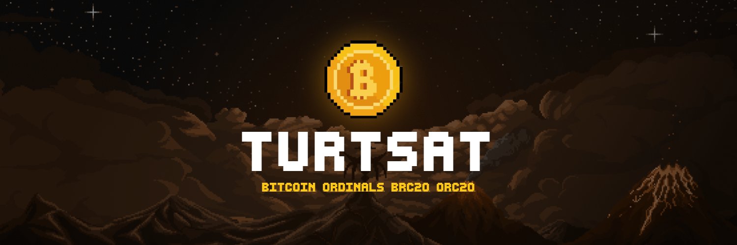 TurtSat banner