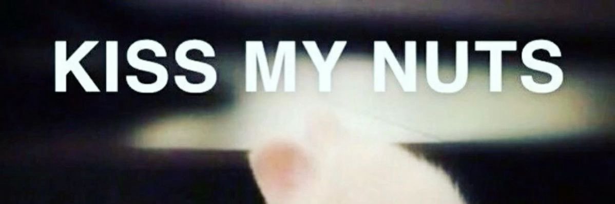Pixie 🧚‍♀️ banner