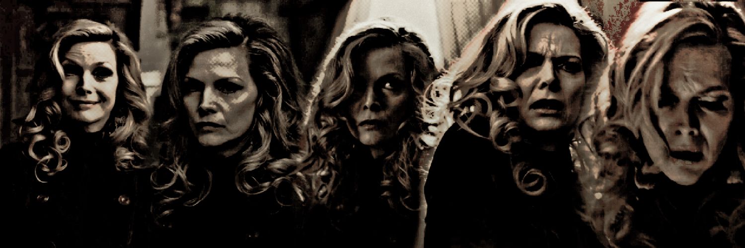 𝙩𝙝𝙚 𝙘𝙖𝙩's banner