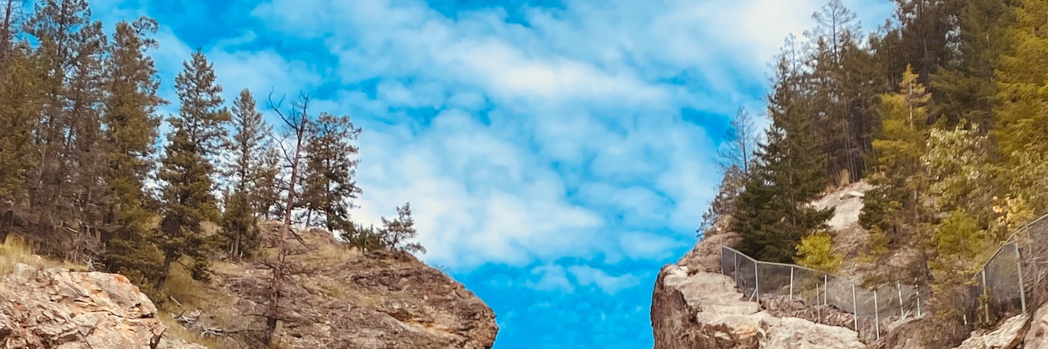 CephasScience's profile banner image