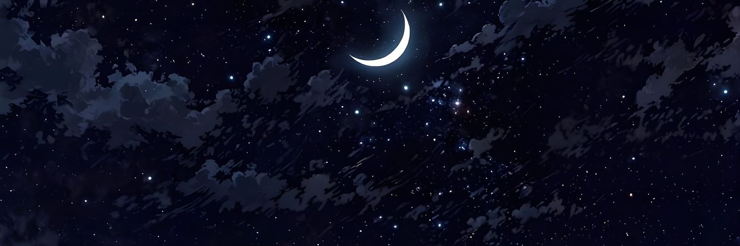 XNSL31's profile banner image