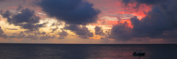 Andrew Fleischer banner