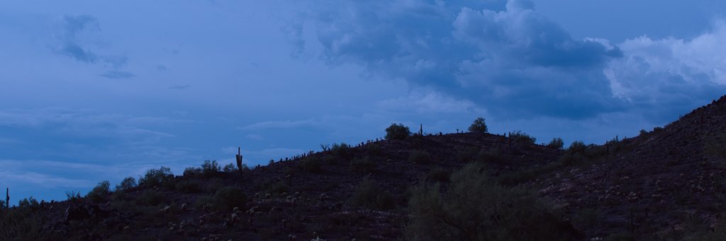 jpleger's profile banner image