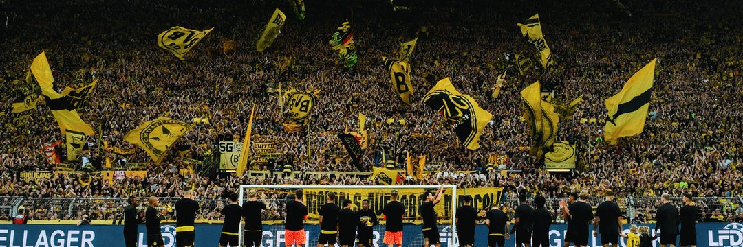 Harmo banner