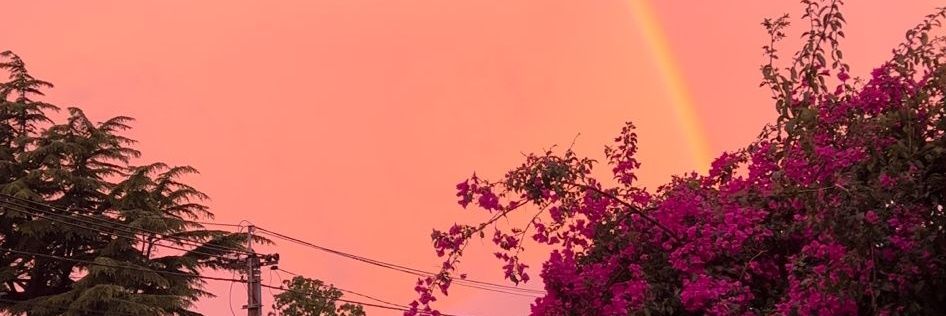 nelbis13's profile banner image