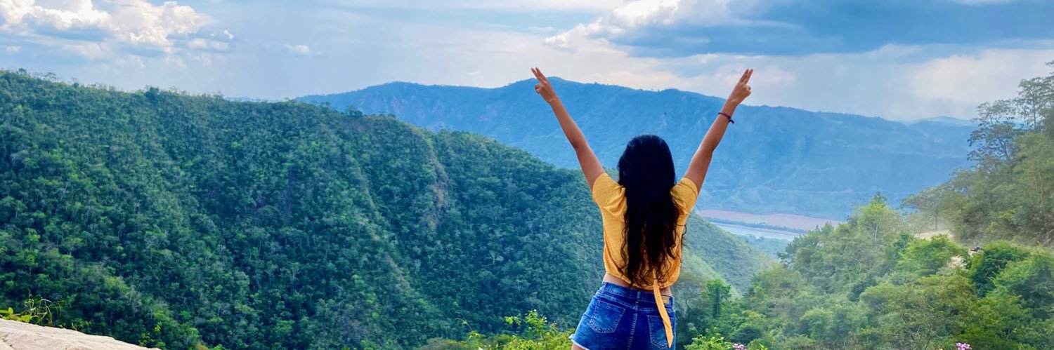palomiope's profile banner image