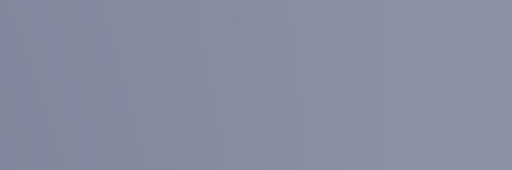 * banner