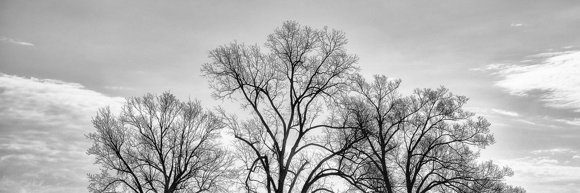 atticus_665's profile banner image