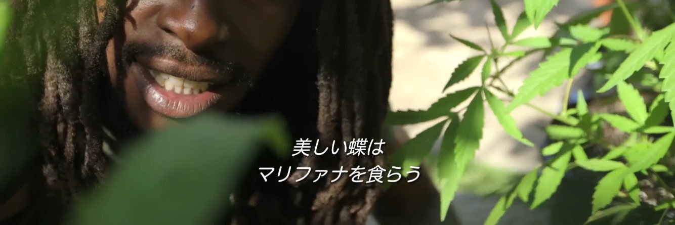 Supreme2bitch's profile banner image