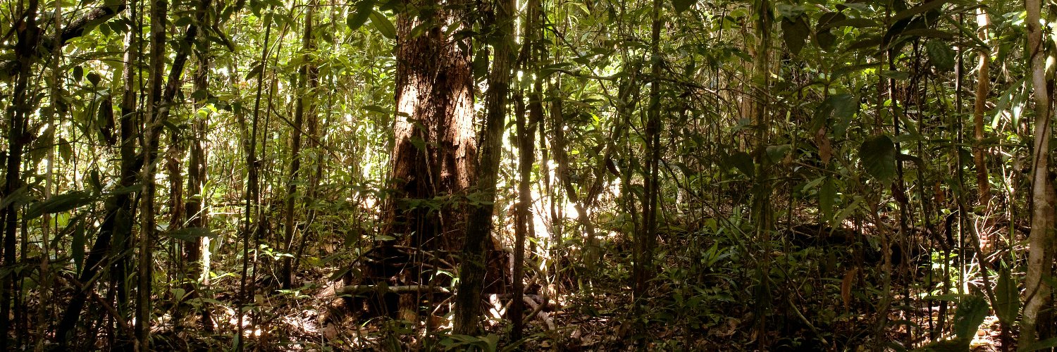 Anakin Skyvodka banner