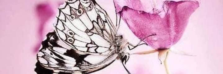 dfix74's profile banner image