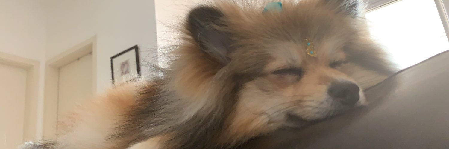 BEBELCHRISTINA's profile banner image