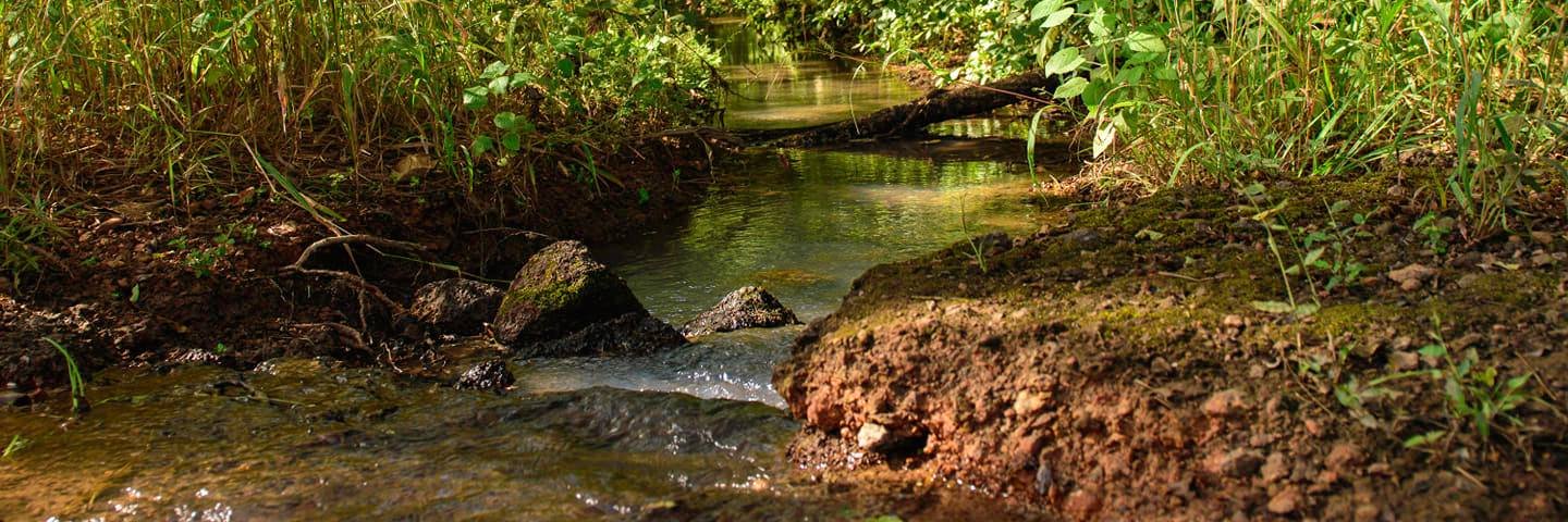 Lionel Tientega banner