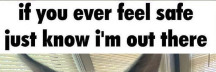Fizzypuff77's profile banner image