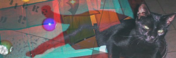 sofifishh Profile Banner