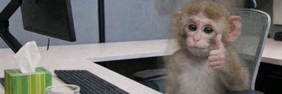 Acervo Mery the Roadie banner