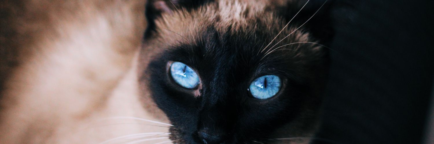 Nandz55's profile banner image
