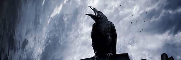 HenFent Profile Banner