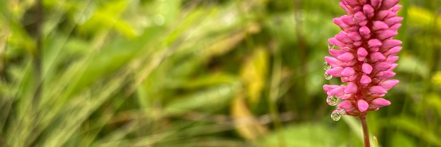 gubarig's profile banner image
