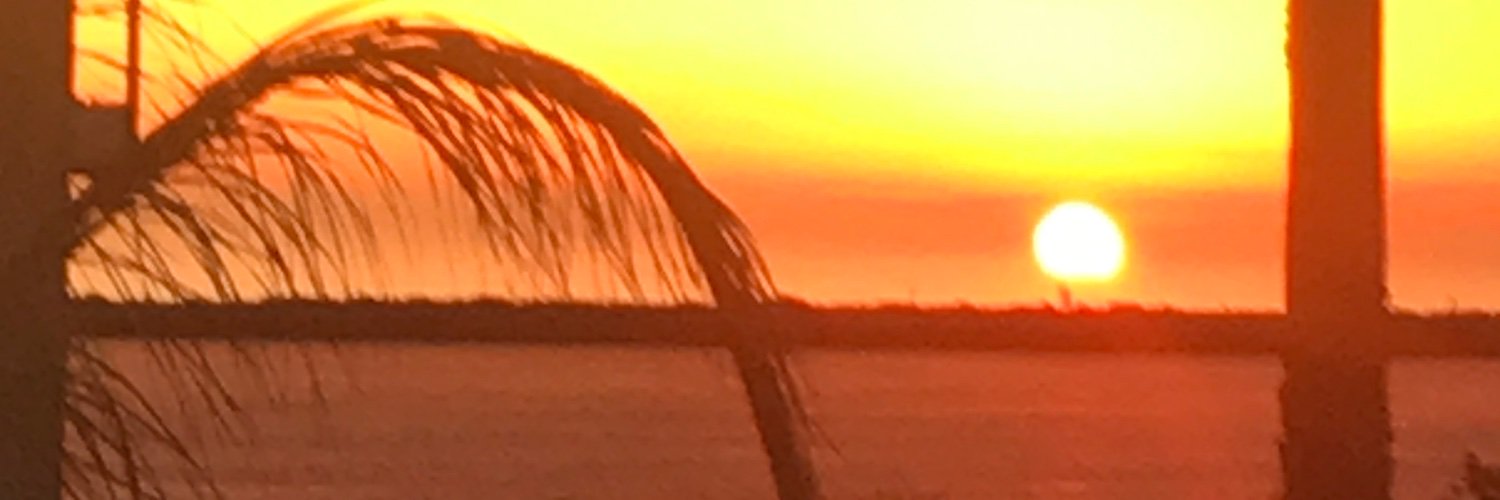 freddy_24f's profile banner image
