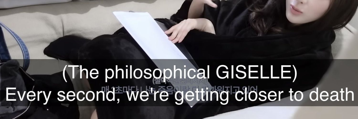 van .ᐟ vió a skz banner