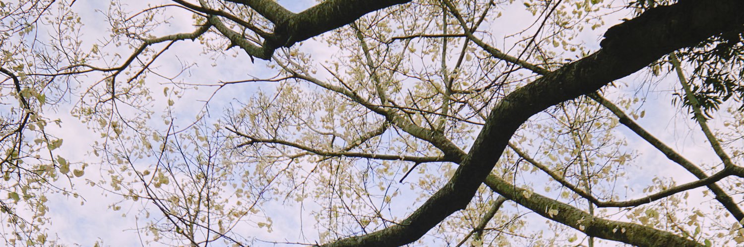 pxxxsr's profile banner image