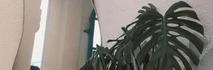 Dencow Melon banner