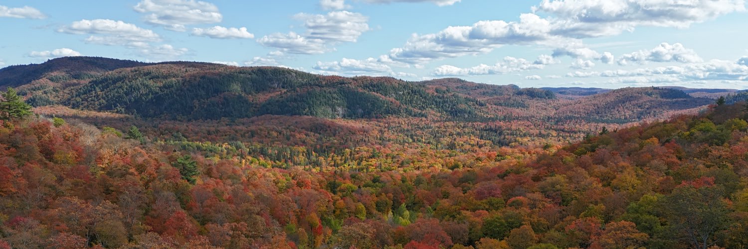 Turkey Lakes Watershed banner