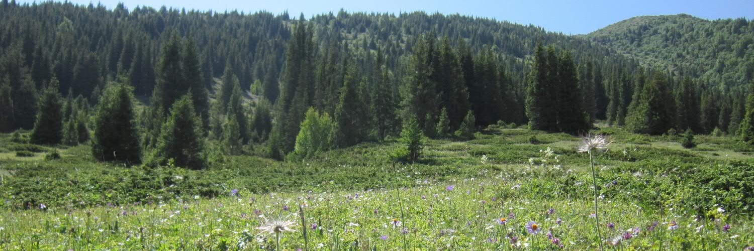 Александр banner