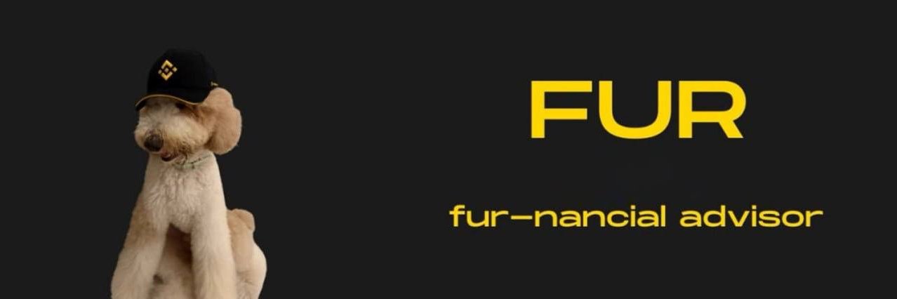 fur-nancial advisor banner