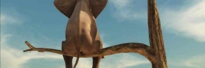 TheoT2008's profile banner image