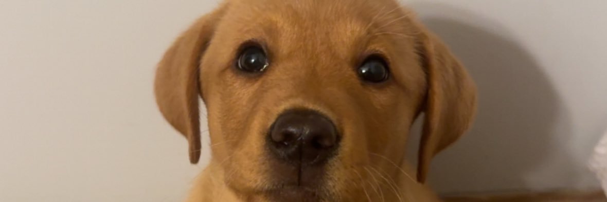 Jake_Green4's profile banner image