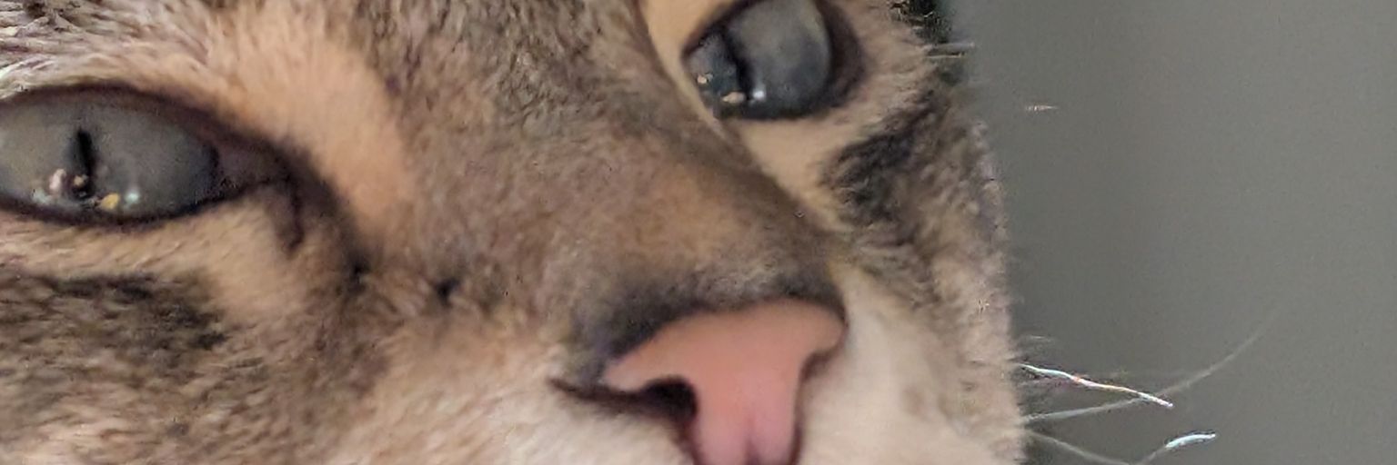 obinson's profile banner image