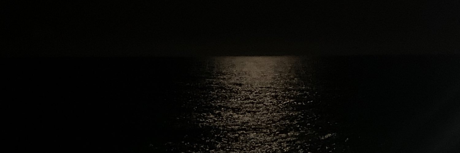 wiiildflower__'s profile banner image