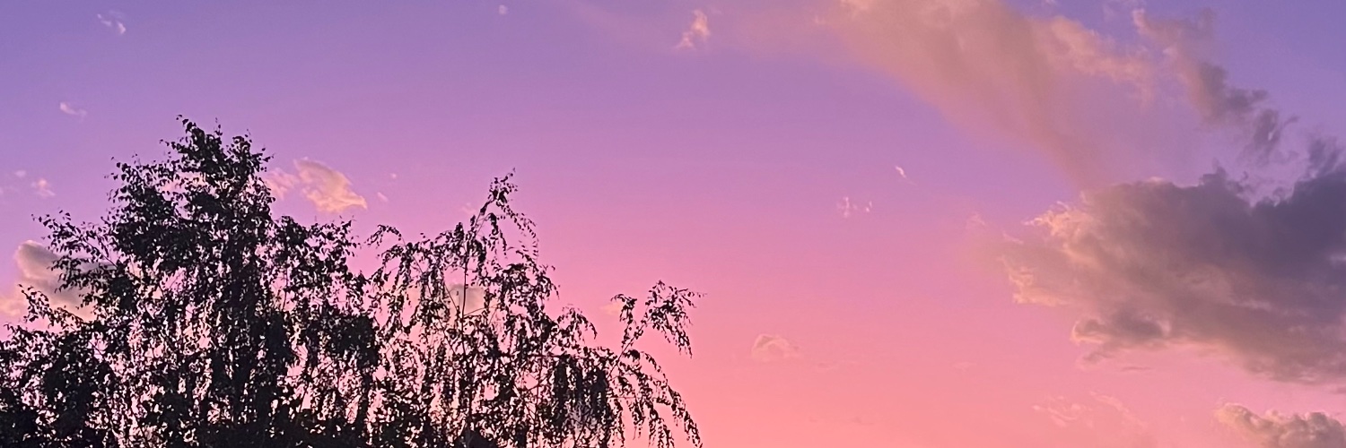 aveni_mari's profile banner image
