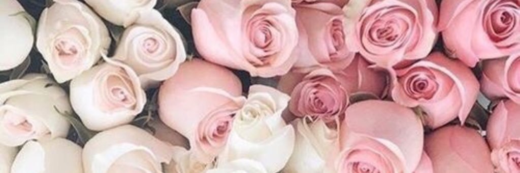 MrsCollingz's profile banner image