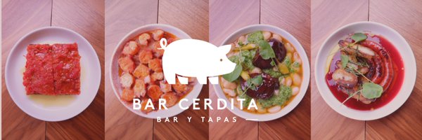 BarCerdita Profile Banner