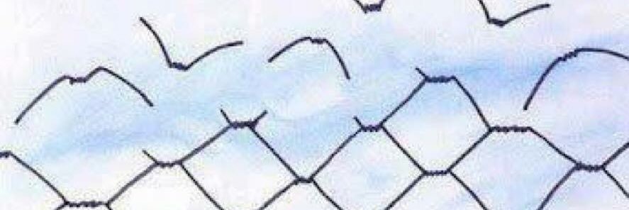 brlkrcgl's profile banner image