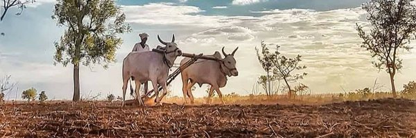 Anju_jangid33 Profile Banner