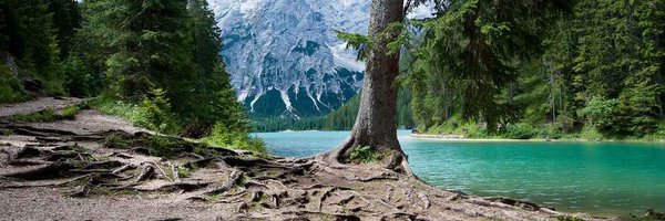 neesl54867876 Profile Banner
